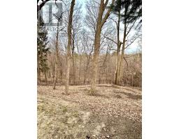 15 Sulkara Court, Toronto, ON M4A2G8 Photo 35