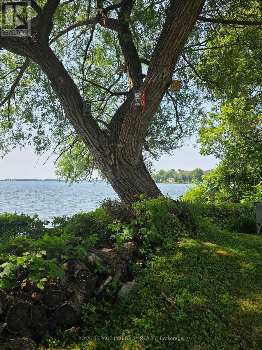 LOT 5 ST FRANCIS ISLAND - 14