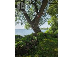 Lot 5 St Francis Island, South Glengarry, ON  Photo 14