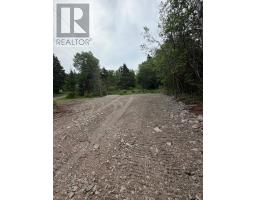 203 Creston Boulevard thumbnail 2