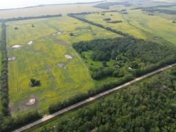 161064 98 West Road, Rorketon, MB R0L1R0 Photo 13
