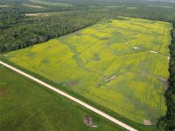 161064 98 West Road, Rorketon, MB R0L1R0 Photo 14