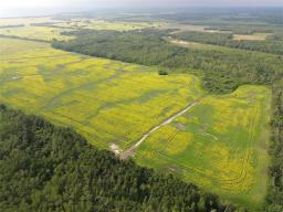 161064 98 West Road, Rorketon, MB R0L1R0 Photo 16