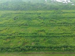 161064 98 West Road, Rorketon, MB R0L1R0 Photo 26