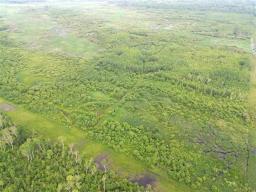 161064 98 West Road, Rorketon, MB R0L1R0 Photo 30