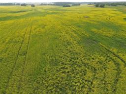 161064 98 West Road, Rorketon, MB R0L1R0 Photo 39