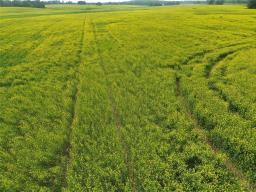 161064 98 West Road, Rorketon, MB R0L1R0 Photo 40