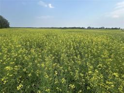 161064 98 West Road, Rorketon, MB R0L1R0 Photo 43