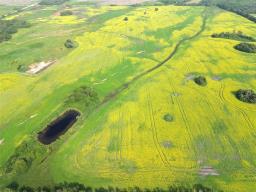 161064 98 West Road, Rorketon, MB R0L1R0 Photo 6