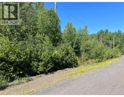 36 Lucas Street, Irishtown, NB E1H0E4 Photo 10
