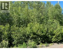 36 Lucas Street, Irishtown, NB E1H0E4 Photo 12