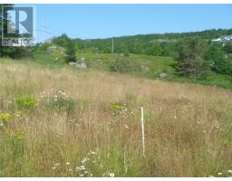 4 Meadow Road, Freshwater, NL A1Y1C6 Photo 12