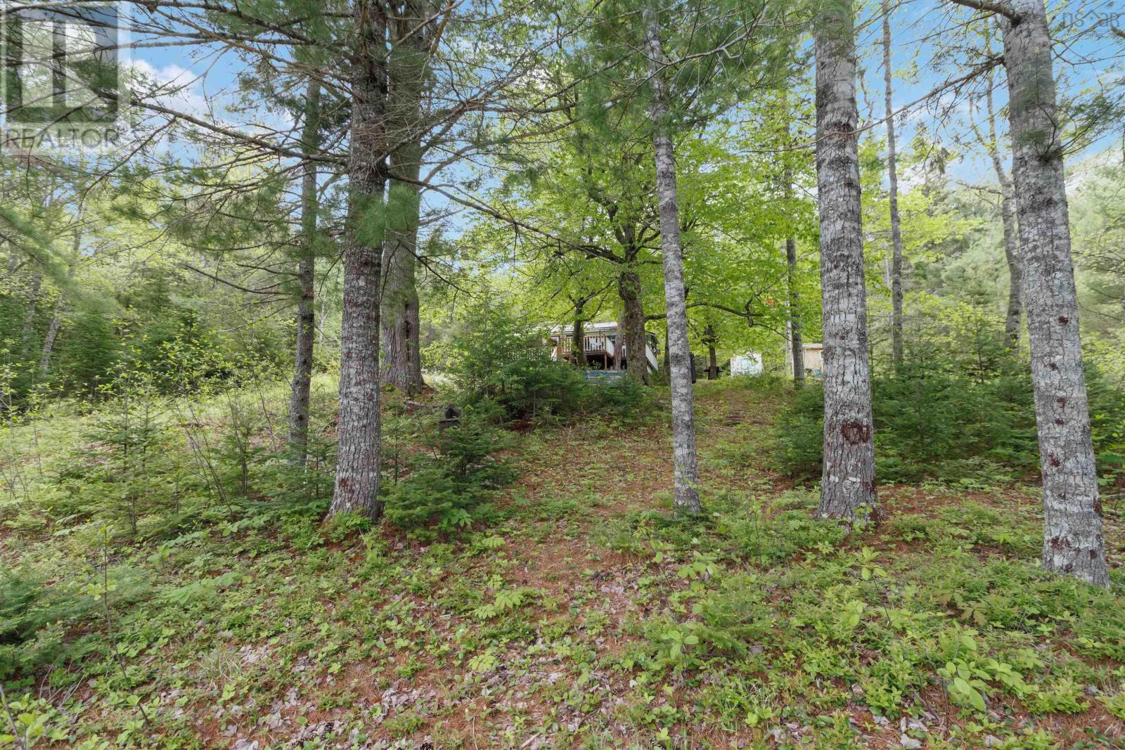 Property 29 of 34 of 288 MEAUGHER Road