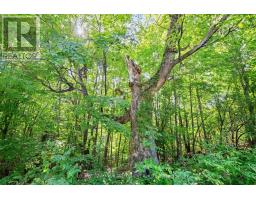 Lot 30 Thompson Drive, Drummond/north Elmsley, ON K7H3C7 Photo 12