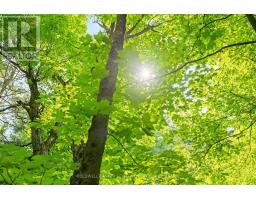 Lot 30 Thompson Drive, Drummond/north Elmsley, ON K7H3C7 Photo 14