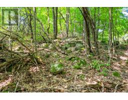 Lot 30 Thompson Drive, Drummond/north Elmsley, ON K7H3C7 Photo 16
