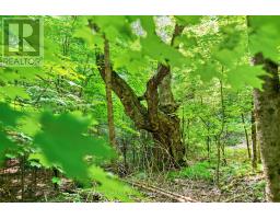 Lot 30 Thompson Drive, Drummond/north Elmsley, ON K7H3C7 Photo 18