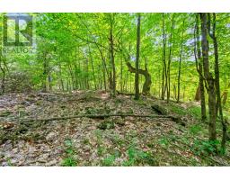 Lot 30 Thompson Drive, Drummond/north Elmsley, ON K7H3C7 Photo 20
