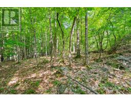 Lot 30 Thompson Drive, Drummond/north Elmsley, ON K7H3C7 Photo 21