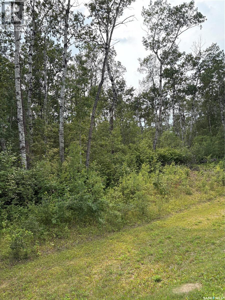 9 Wilson CRESCENT, Delaronde Lake, Saskatchewan, S0J0E0, Delaronde Lake, Saskatchewan — photo 4 of 5