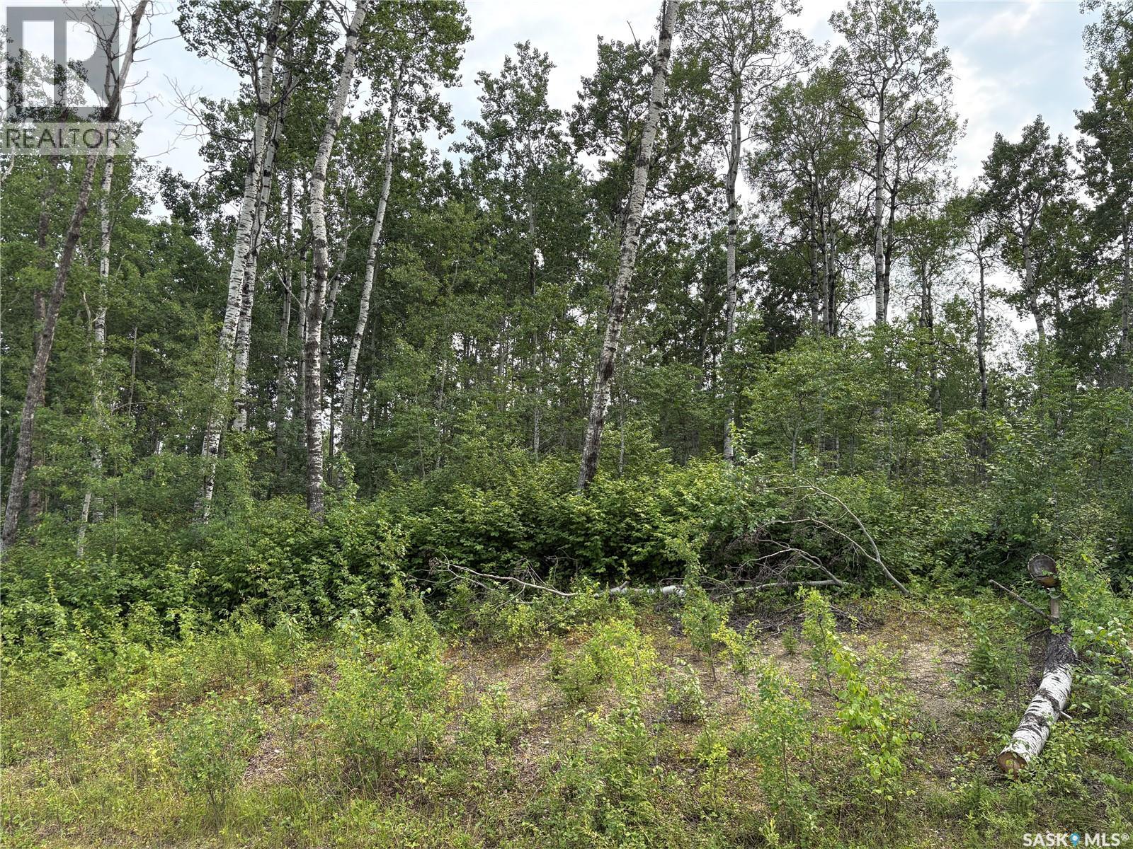 9 Wilson CRESCENT, Delaronde Lake, Saskatchewan, S0J0E0, Delaronde Lake, Saskatchewan — photo 5 of 5