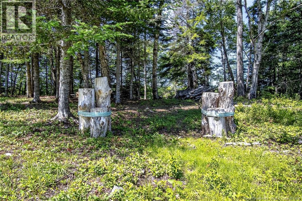 230 Mealey Road - 42