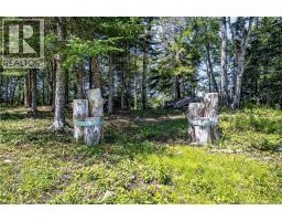 230 Mealey Road, Pennfield, NB E5H0B1 Photo 42