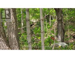 16 Walnut Drive, Wasaga Beach, ON L9Z0A9 Photo 33