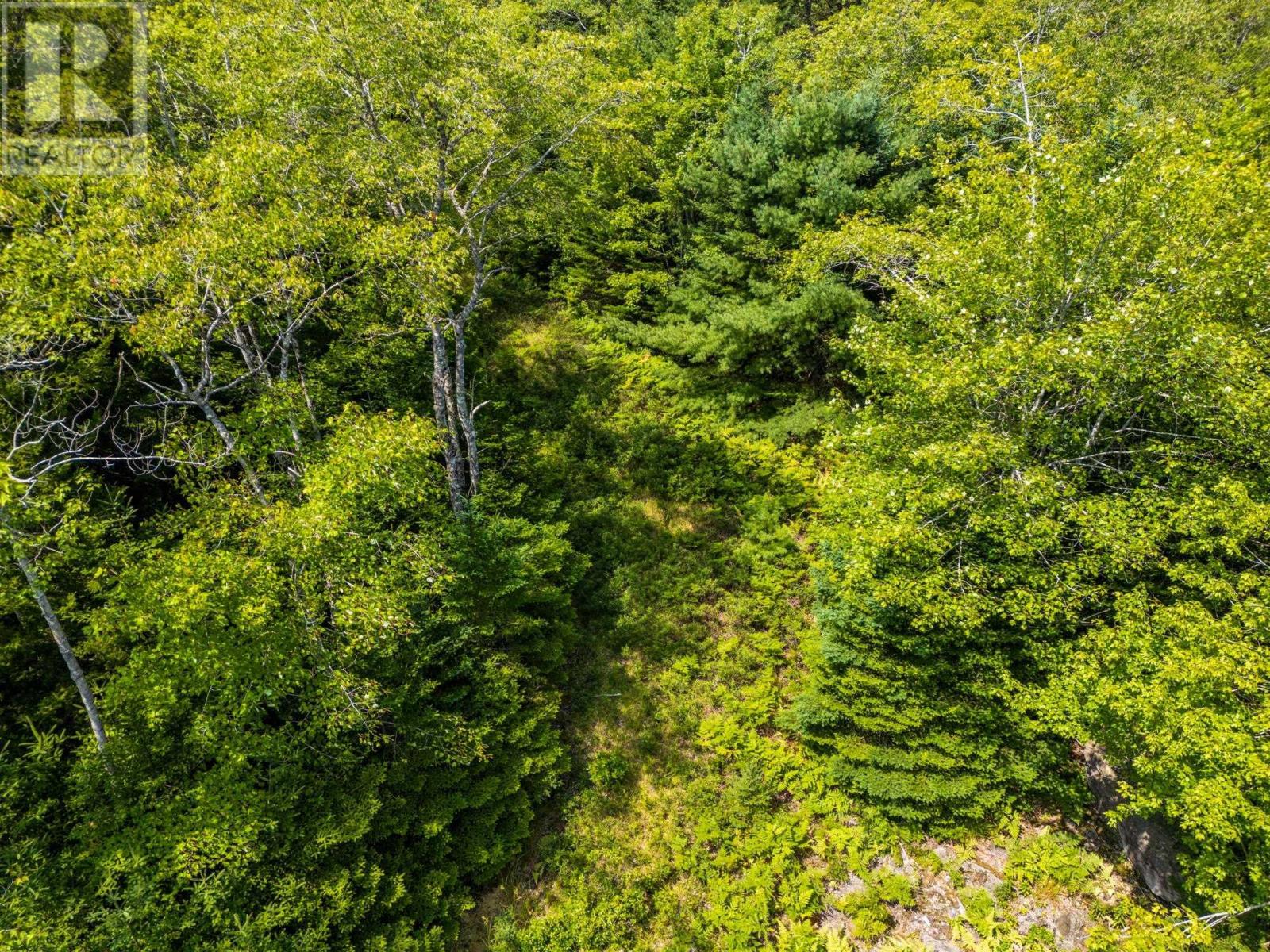 Property 18 of 20 of Lot 4 Maple Leaf Drive