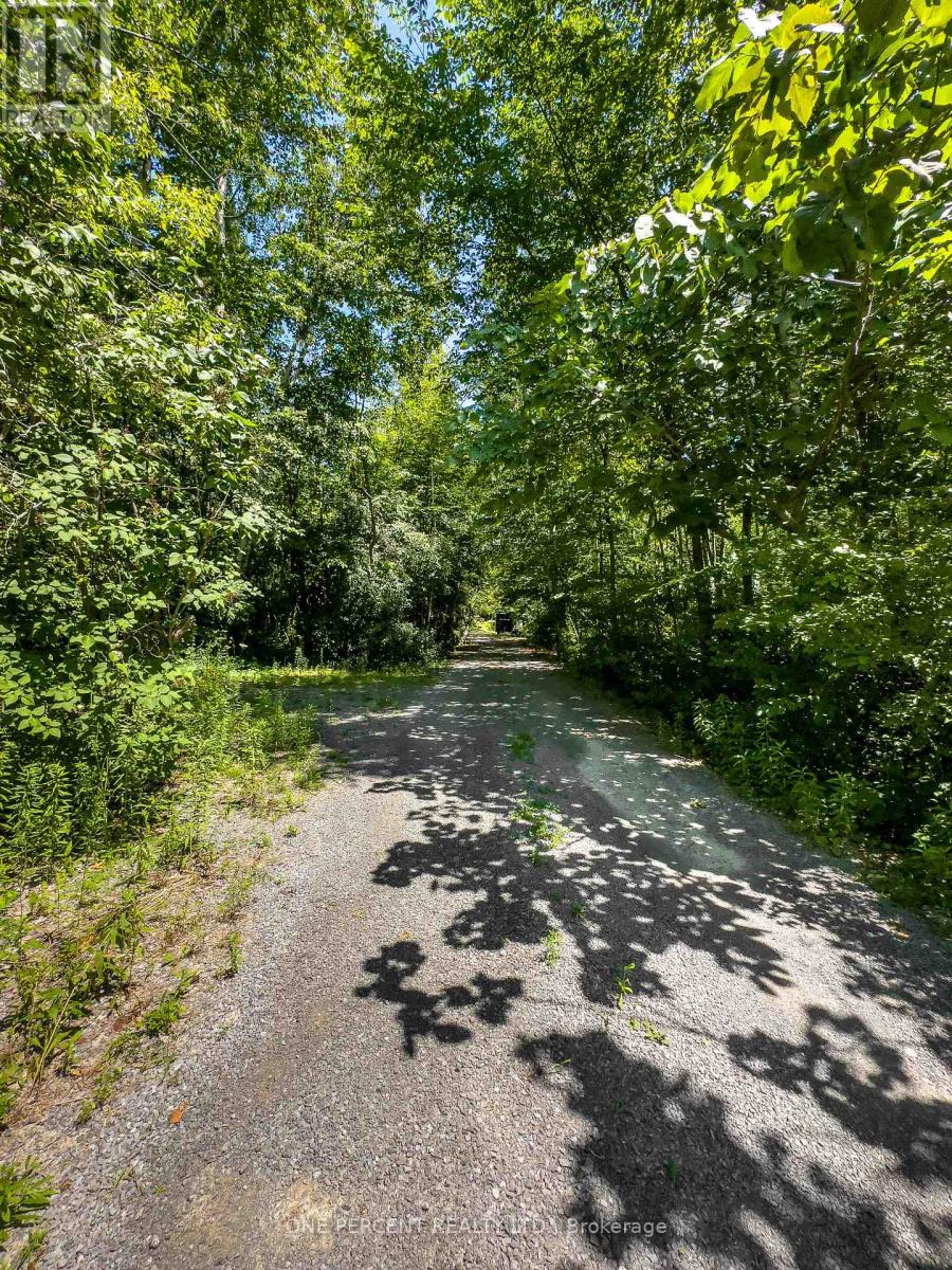 203 BULLIS ROAD - Image 47