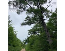 Lot 20c Ashfield Road, River Denys, NS B0E2Y0 Photo 11