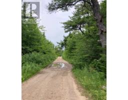 Lot 20c Ashfield Road, River Denys, NS B0E2Y0 Photo 10