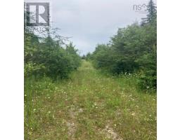 Lot 20c Ashfield Road, River Denys, NS B0E2Y0 Photo 7