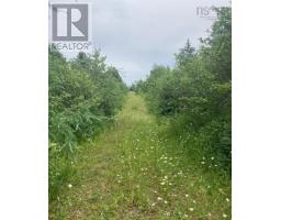 Lot 20c Ashfield Road, River Denys, NS B0E2Y0 Photo 6