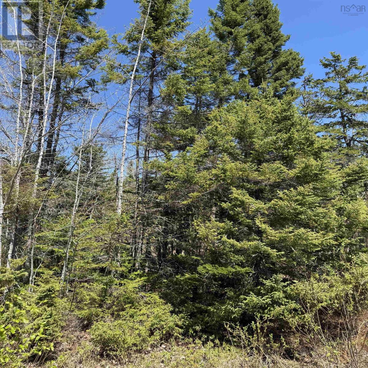Property 14 of 24 of Lot 22 Marble Mountain Road