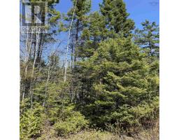 Lot 22 Marble Mountain Road, South Side River Denys, NS B0E2Y0 Photo 14