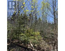 Lot 22 Marble Mountain Road, South Side River Denys, NS B0E2Y0 Photo 16