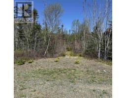 Lot 22 Marble Mountain Road, South Side River Denys, NS B0E2Y0 Photo 18