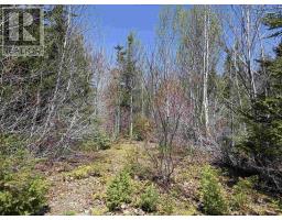 Lot 22 Marble Mountain Road, South Side River Denys, NS B0E2Y0 Photo 13