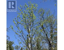 Lot 22 Marble Mountain Road, South Side River Denys, NS B0E2Y0 Photo 17