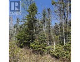 Lot 22 Marble Mountain Road, South Side River Denys, NS B0E2Y0 Photo 15