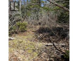 Lot 22 Marble Mountain Road, South Side River Denys, NS B0E2Y0 Photo 19