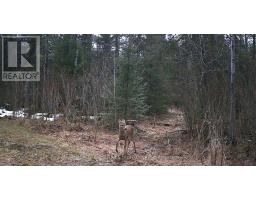 111 Memory Lane, Chisholm, ON P0H1Z0 Photo 6