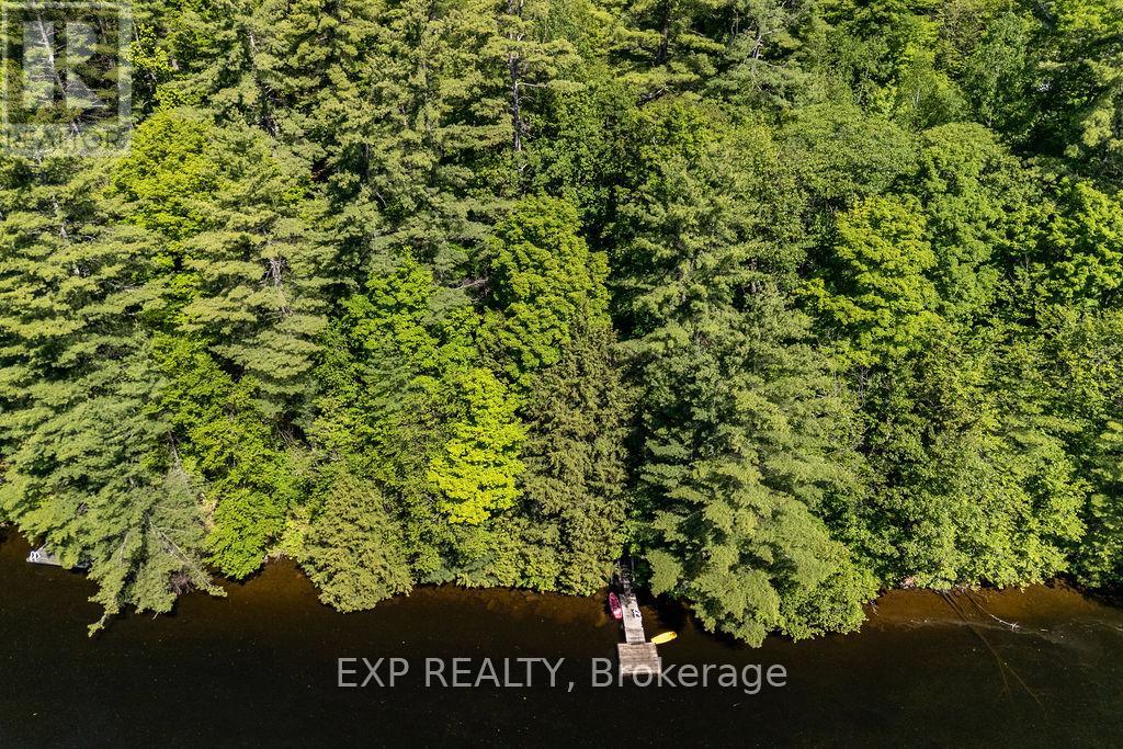 2205 CALABOGIE ROAD - 41