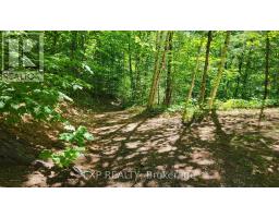 2205 Calabogie Road, Greater Madawaska, ON K0J1E0 Photo 28