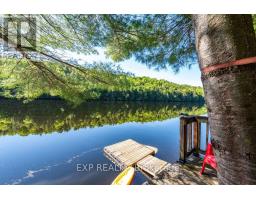 2205 Calabogie Road, Greater Madawaska, ON K0J1E0 Photo 48