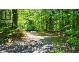 2205 Calabogie Road, Greater Madawaska, ON K0J1E0 Photo 50