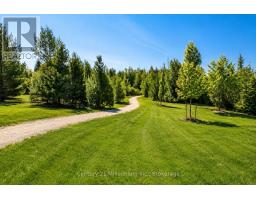 204 - 10 Brandy Lane Drive, Collingwood, ON L9Y0X4 Photo 29