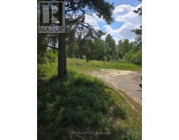 107 Government Road W, Kirkland Lake, ON P2N2E8 Photo 9