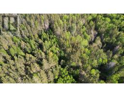 7903 East Bay Highway, Big Pond Centre, NS B1J1Z3 Photo 43